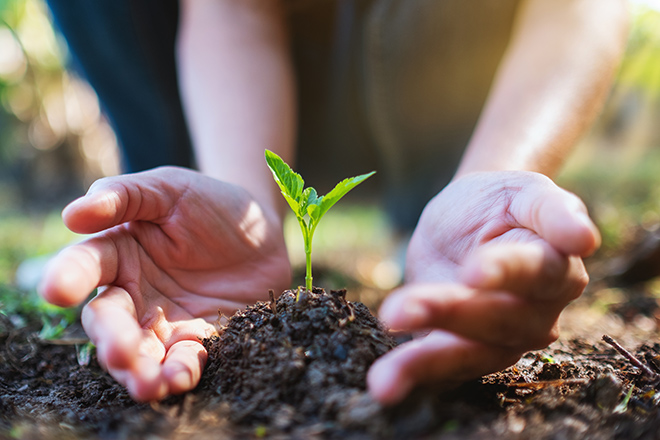 旧暦とは?意味・違い・行事一覧でわかる日本の伝統暦 旧暦の使い方と暮らしへの活かし方